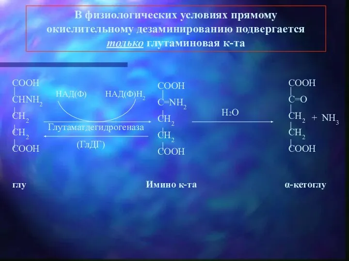 В физиологических условиях прямому окислительному дезаминированию подвергается только глутаминовая к-та НАД(Ф)