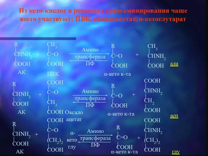 Из кето-кислот в реакциях трансаминирования чаще всего участвуют: ПВК, оксалоацетат, α-кетоглутарат