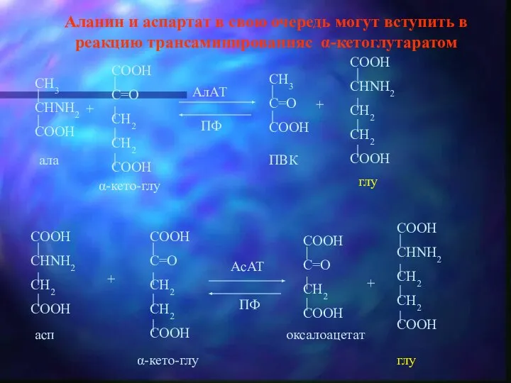 Аланин и аспартат в свою очередь могут вступить в реакцию трансаминированияс