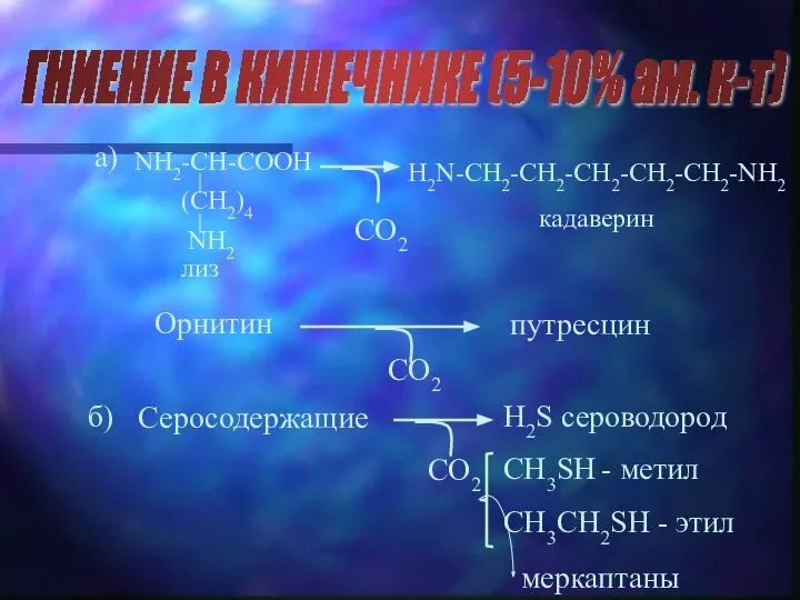 ГНИЕНИЕ В КИШЕЧНИКЕ (5-10% ам. к-т) а) CO2 Орнитин CO2 б)