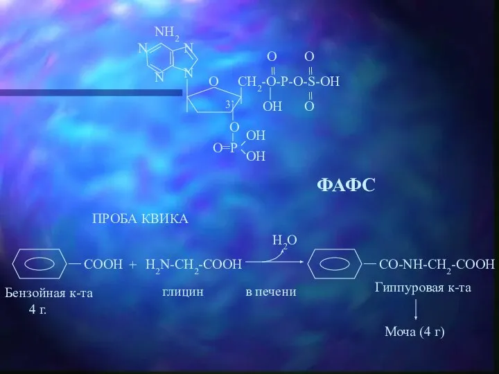 ФАФС ПРОБА КВИКА H2N-CH2-COOH Бензойная к-та 4 г. глицин в печени