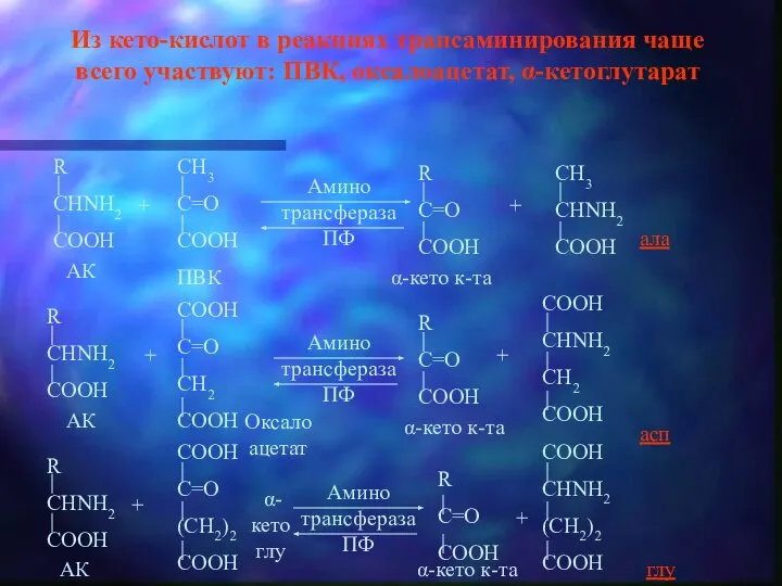 Из кето-кислот в реакциях трансаминирования чаще всего участвуют: ПВК, оксалоацетат, α-кетоглутарат