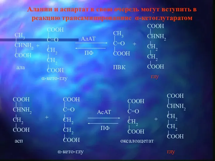 Аланин и аспартат в свою очередь могут вступить в реакцию трансаминированияс