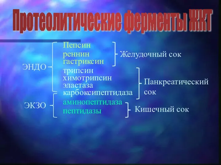 Протеолитические ферменты ЖКТ Пепсин реннин гастриксин ЭНДО ЭКЗО Желудочный сок Панкреатический