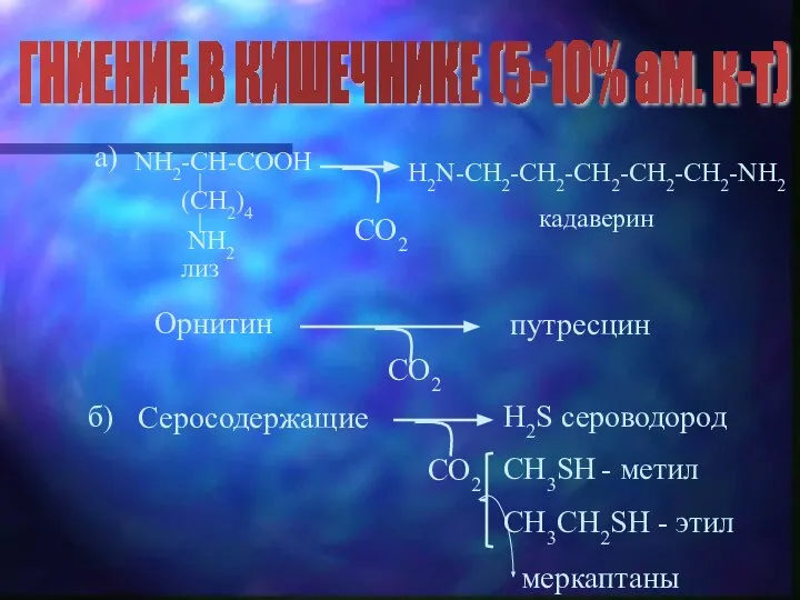 ГНИЕНИЕ В КИШЕЧНИКЕ (5-10% ам. к-т) а) CO2 Орнитин CO2 б)