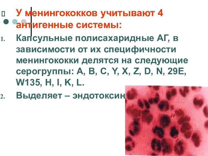 У менингококков учитывают 4 антигенные системы: Капсульные полисахаридные АГ, в зависимости