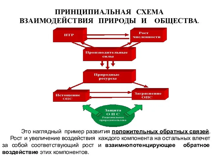 ПРИНЦИПИАЛЬНАЯ СХЕМА ВЗАИМОДЕЙСТВИЯ ПРИРОДЫ И ОБЩЕСТВА. Это наглядный пример развития положительных