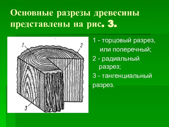 Основные разрезы древесины представлены на рис. 3. 1 - торцовый разрез,