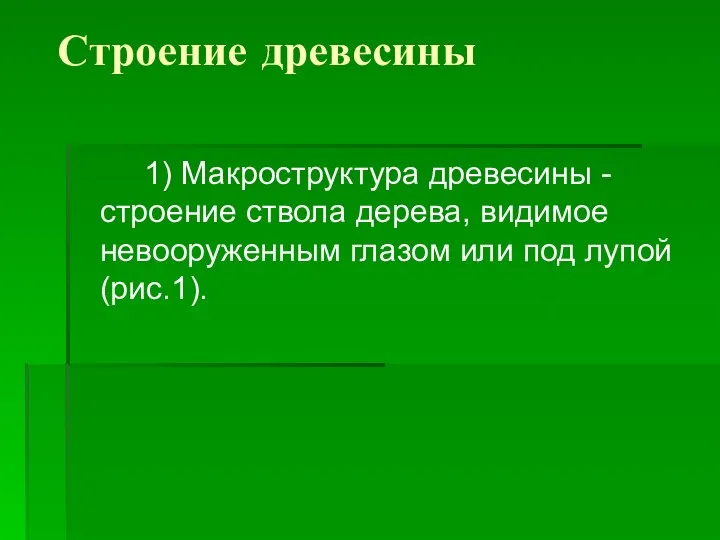 Строение древесины 1) Макроструктура древесины - строение ствола дерева, видимое невооруженным глазом или под лупой (рис.1).