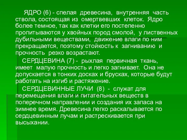 ЯДРО (6) - спелая древесина, внутренняя часть ствола, состоящая из омертвевших