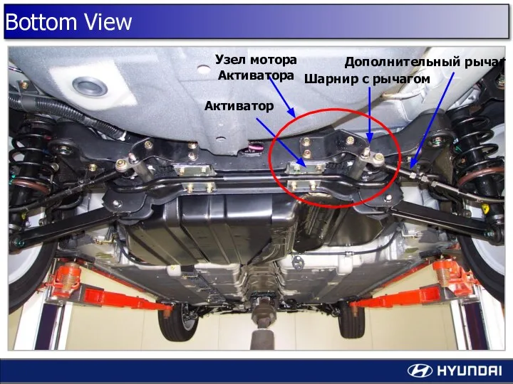 Активатор Шарнир с рычагом Узел мотора Активатора Дополнительный рычаг Bottom View