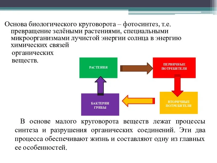 Основа биологического круговорота – фотосинтез, т.е. превращение зелёными растениями, специальными микроорганизмами