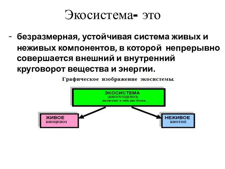 Экосистема- это - безразмерная, устойчивая система живых и неживых компонентов, в