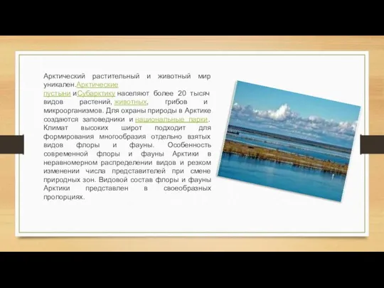 Арктический растительный и животный мир уникален.Арктические пустыни иСубарктику населяют более 20