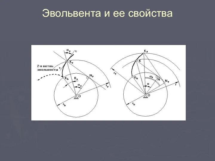 Эвольвента и ее свойства