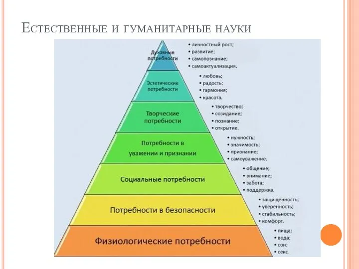 Естественные и гуманитарные науки