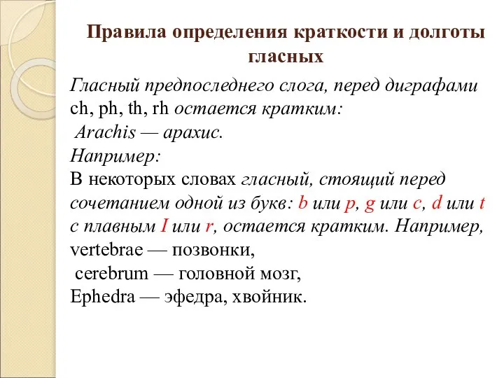 Правила определения краткости и долготы гласных Гласный предпоследнего слога, перед диграфами