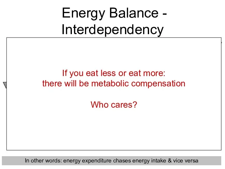 Body Mass/Composition Energy Intake “Calories in” Energy Expenditure “Calories out” 2.