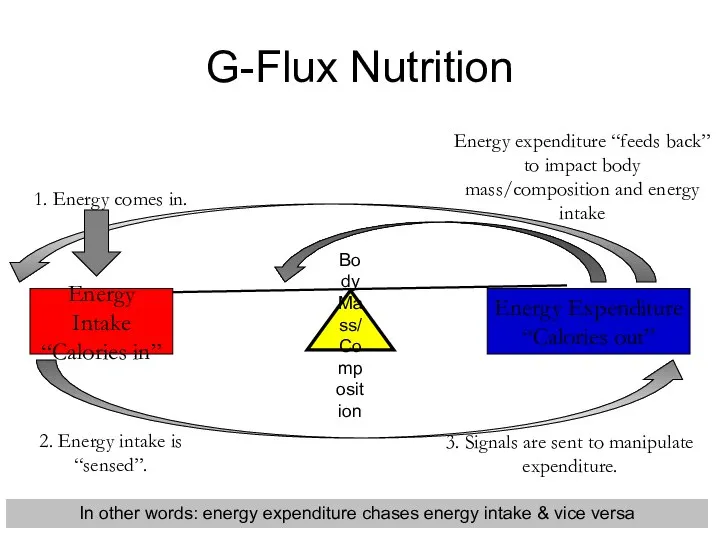 Body Mass/Composition Energy Intake “Calories in” Energy Expenditure “Calories out” 2.