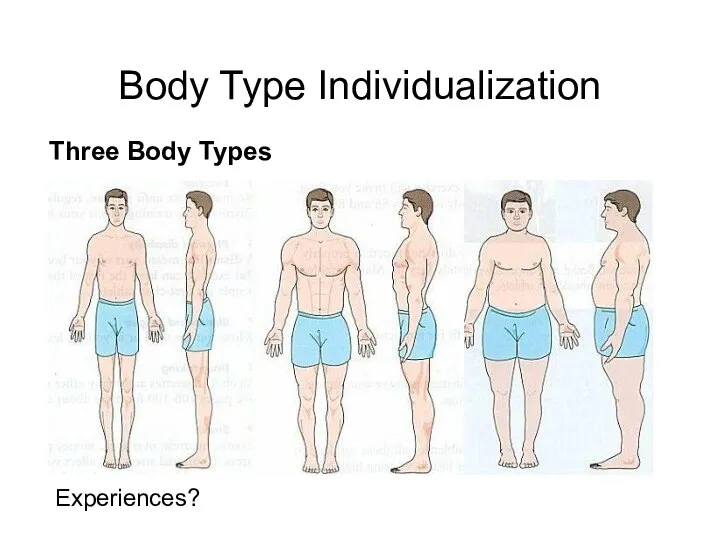 Body Type Individualization Three Body Types Ectomorphic (lean, thin, small joints,