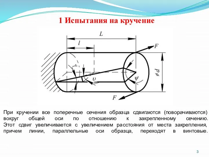 1 Испытания на кручение При кручении все поперечные сечения образца сдвигаются