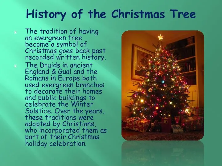 History of the Christmas Tree The tradition of having an evergreen