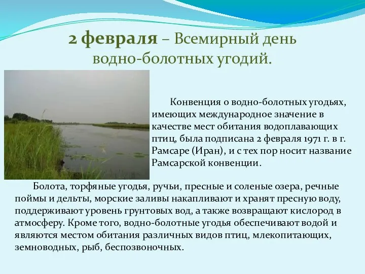 2 февраля – Всемирный день водно-болотных угодий. Конвенция о водно-болотных угодьях,