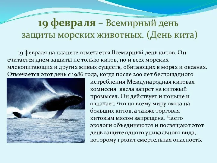 19 февраля – Всемирный день защиты морских животных. (День кита) истребления