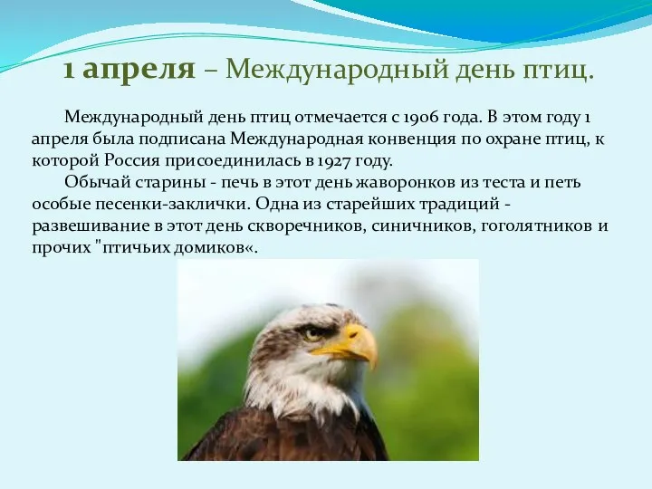 1 апреля – Международный день птиц. Международный день птиц отмечается с