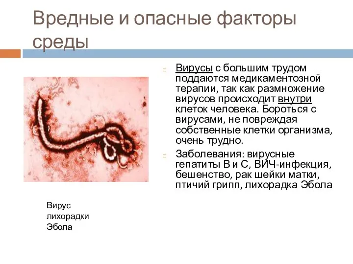 Вредные и опасные факторы среды Вирусы с большим трудом поддаются медикаментозной