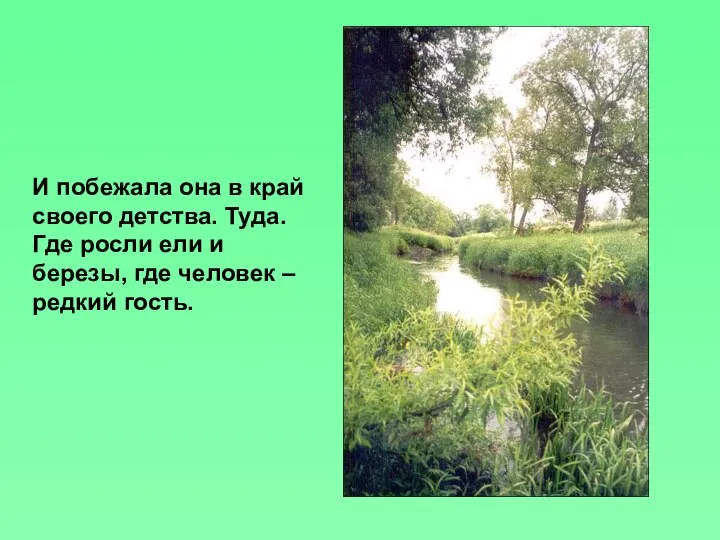 И побежала она в край своего детства. Туда. Где росли ели