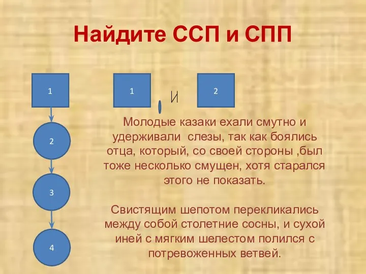 Найдите ССП и СПП Молодые казаки ехали смутно и удерживали слезы,