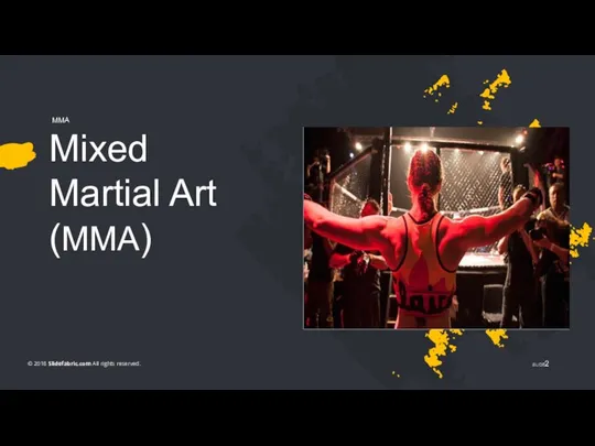Mixed Martial Art (MMA) MMA