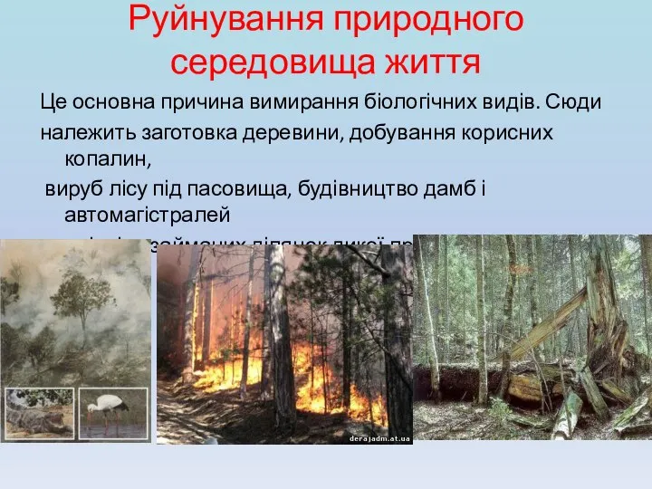 Руйнування природного середовища життя Це основна причина вимирання біологічних видів. Сюди