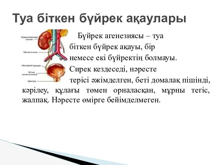 Туа біткен бүйрек ақаулары Бүйрек агенезиясы – туа біткен бүйрек ақауы,