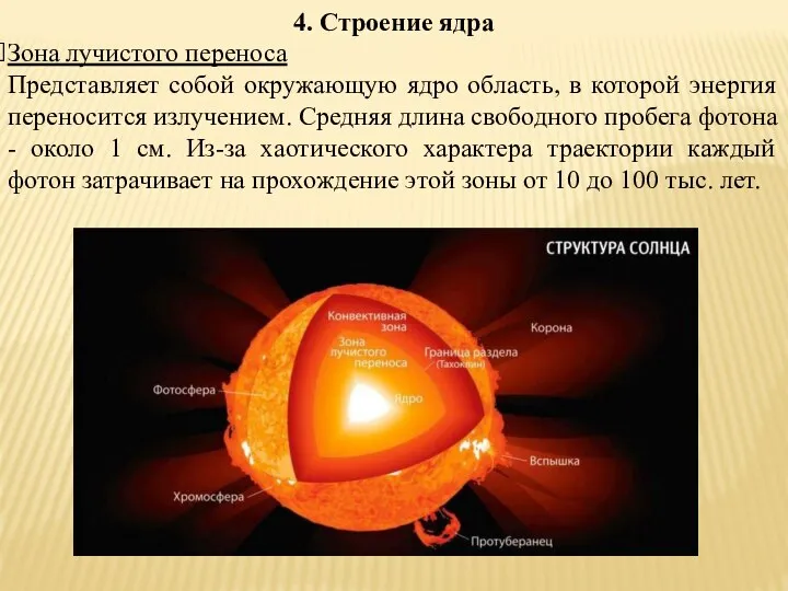 4. Строение ядра Зона лучистого переноса Представляет собой окружающую ядро область,