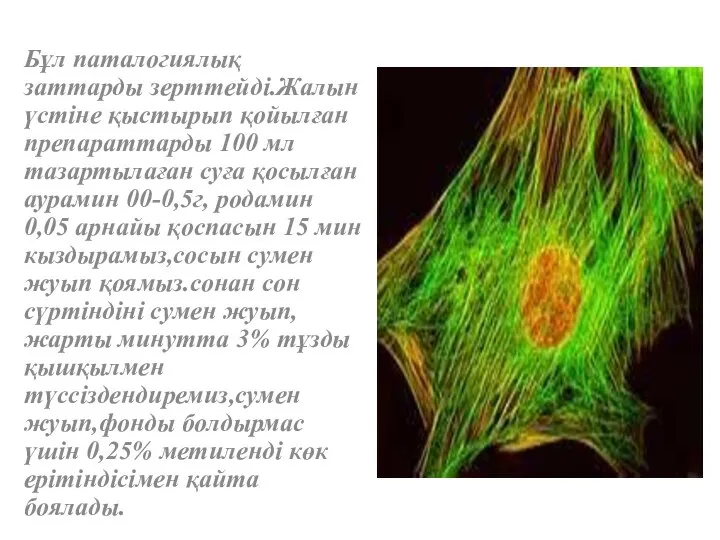 Бұл паталогиялық заттарды зерттейді.Жалын үстіне қыстырып қойылған препараттарды 100 мл тазартылаған