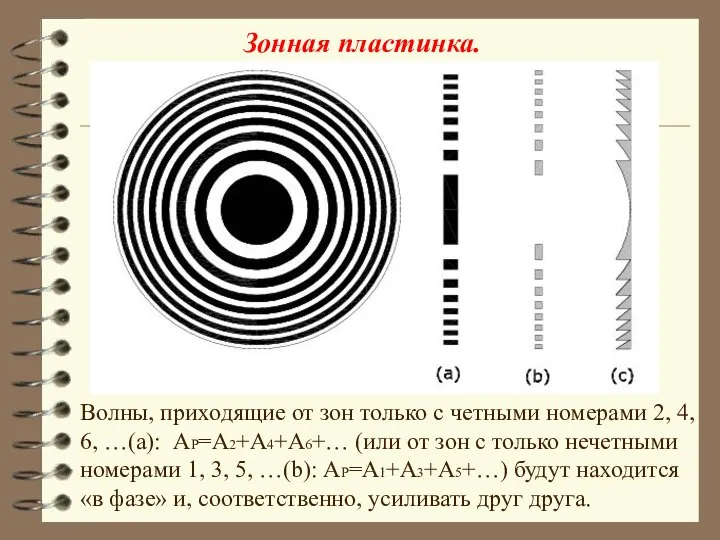 Волны, приходящие от зон только с четными номерами 2, 4, 6,