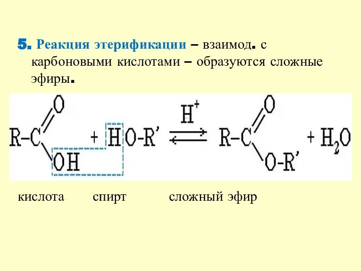 5. Реакция этерификации – взаимод. с карбоновыми кислотами – образуются сложные эфиры. кислота спирт сложный эфир