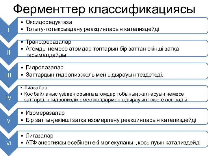 Ферменттер классификациясы