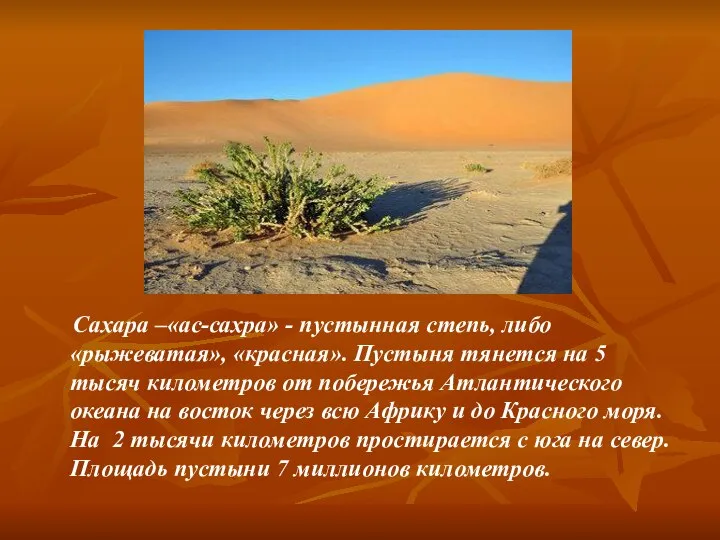 Сахара –«ас-сахра» - пустынная степь, либо «рыжеватая», «красная». Пустыня тянется на