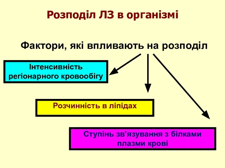 Розподіл ЛЗ в організмі Фактори, які впливають на розподіл Інтенсивність регіонарного