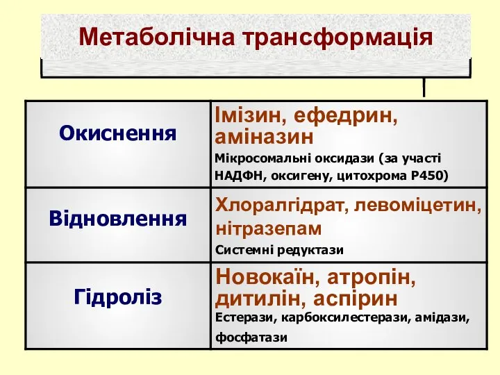 Метаболічна трансформація