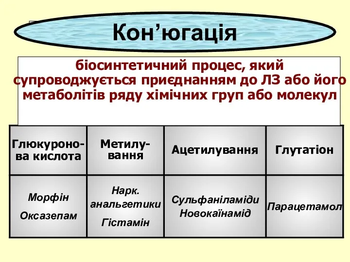 Кон’югація біосинтетичний процес, який супроводжується приєднанням до ЛЗ або його метаболітів ряду хімічних груп або молекул