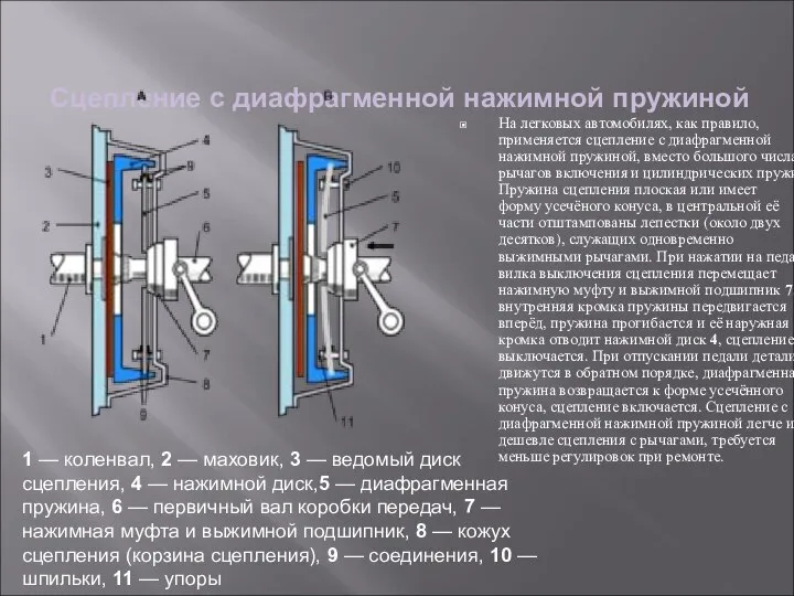 Сцепление с диафрагменной нажимной пружиной На легковых автомобилях, как правило, применяется