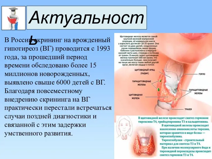 Актуальность В России скрининг на врожденный гипотиреоз (ВГ) проводится с 1993