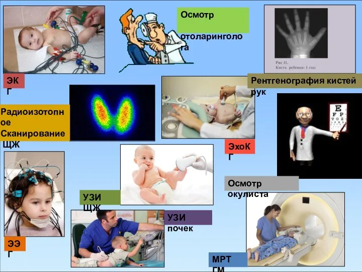 ЭКГ МРТ ГМ УЗИ ЩЖ ЭЭГ Рентгенография кистей рук УЗИ почек