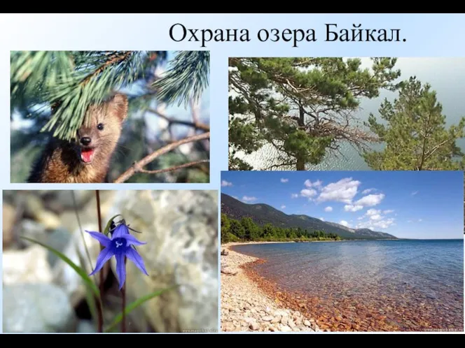 Охрана озера Байкал.