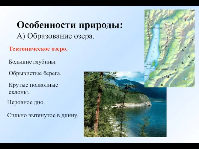 Особенности природы: А) Образование озера. Тектоническое озеро. Большие глубины. Обрывистые берега.