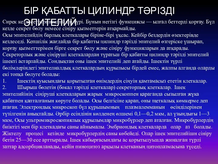 БІР ҚАБАТТЫ ЦИЛИНДР ТӘРІЗДІ ЭПИТЕЛИЙ Сирек кездесетін эпителийдің түрі. Бүнын негізгі